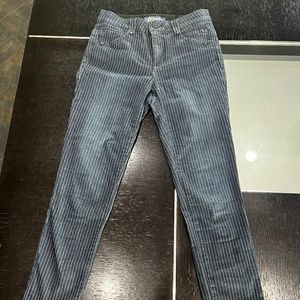 Pinstripe Democracy Size 2 Pant/Jean